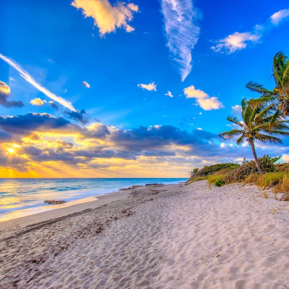The Palm Beaches - Fall in love with the romantic side of Florida!