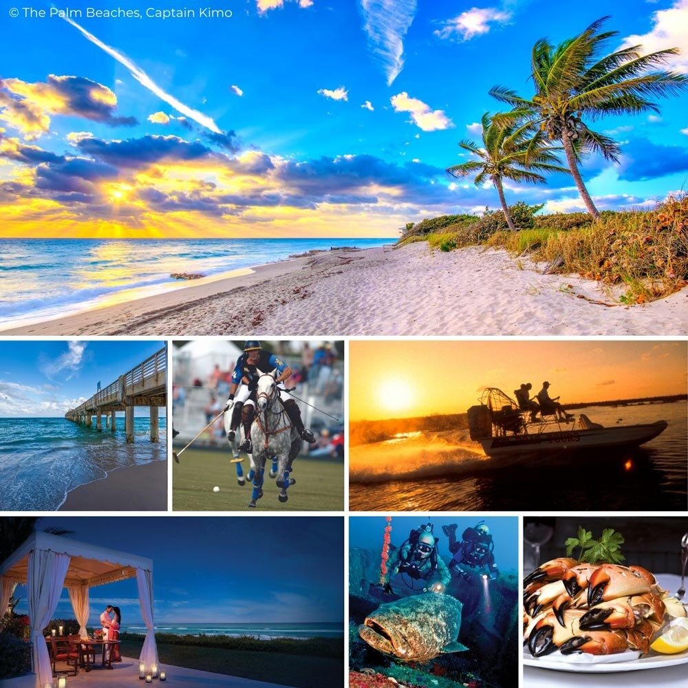 Erkunde die Vielfalt von The Palm Beaches!